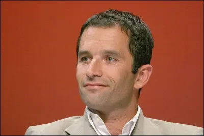 Quel député socialiste des Yvelines et candidat à la primaire de la gauche souhaite créer un revenu universel d'existence ?