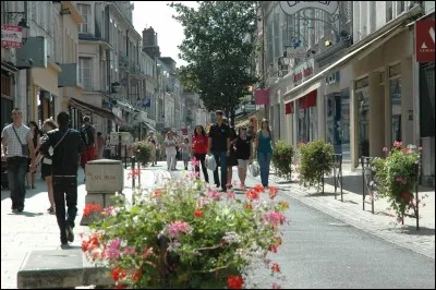 Quand tu vas au centre-ville, qu'achètes-tu ?