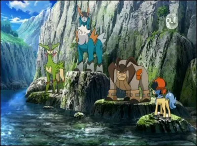 Il y a 4 autres Pokémon légendaires : Keldeo, Viridium, Terrakium et Colbatium. 
Comment s'appelle leur groupe ?