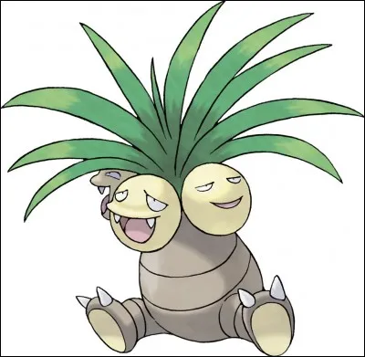 Le Noadkoko d'Alola est :
