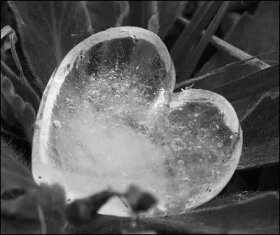 Qui chantait "Quand on n'a que l'amour" ?