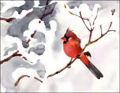 Arbre tropical dont le bois très dur et imputrescible est utilisé en ébénisterie, en construction navale :