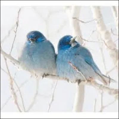 Statue représentant un dieu polynésien :