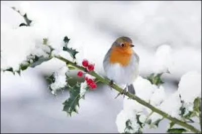 Au sens figuré, grand désordre :