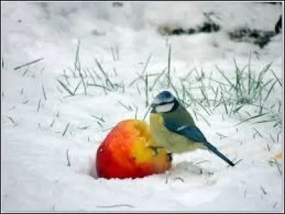 Familièrement, smoking :