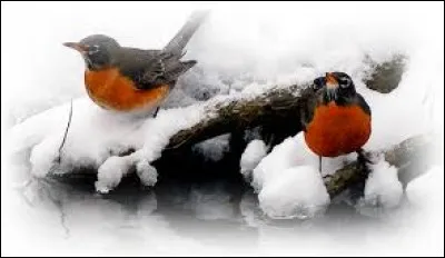 Personne pratiquant le sikhisme :