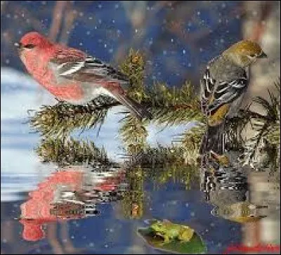 Tissu qui imite le cuir :