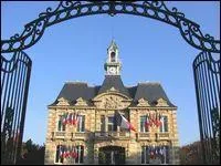 Comment appelle-t-on les habitants du Vsinet ?