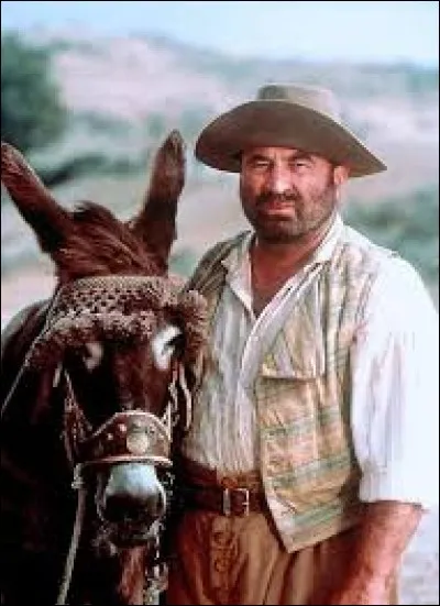 Qui accompagne Don Quichotte en chevauchant un âne ?