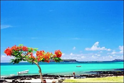 Qui furent les premiers a coloniser l'île Maurice ?