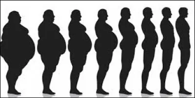 Vous voulez suivre un régime hyperprotéiné, quelle assiette est la plus appropriée ?