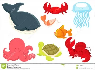 À quel animal le marsouin ressemble-t-il ?