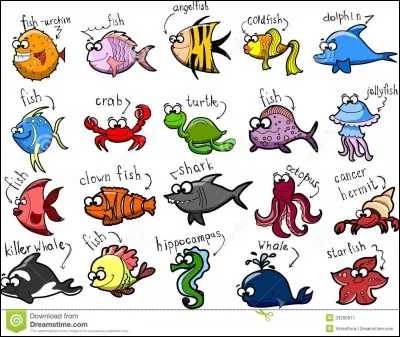 Quel animal porte aussi le nom d'épaulard ?