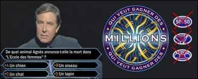 Quelle est la bonne réponse ? Vous n'avez malheureusement plus de jokers.