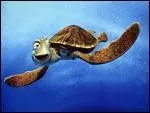 Quel est le nom de cette tortue planante que l'on retrouve dans le film Disney/Pixar, ' le Monde Nemo' ?