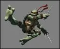 Quel est le nom de cette Tortue Ninja ?