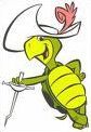Quiz Tortues