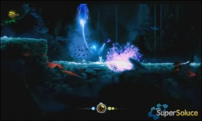 Comment s'appelle la dernière compétence du jeu ?