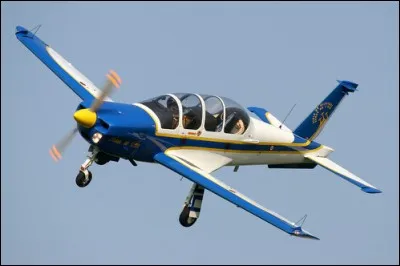 Sur un Tecnam P2008 (et certainement aussi sur les autres avions), quels sont les 3 lights ?