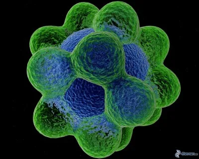 Qu'est-ce que c'est ?