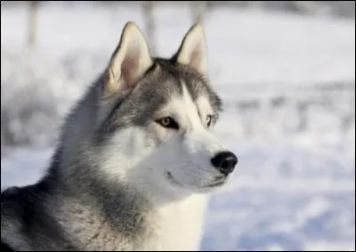 En a pris plein les oreilles.