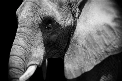 Propre à charmer l'oreille.