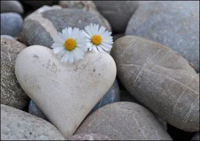 Si vous restez insensible aux malheurs des autres, que dire de vous ?