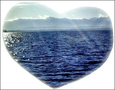 Quel est le nom médical de ce mal de coeur qui survient sur un bateau, nommé souvent "mal de mer" ?