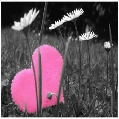 Si vous doutez de la véracité de mes réponses, allez-donc vérifier sur Google !