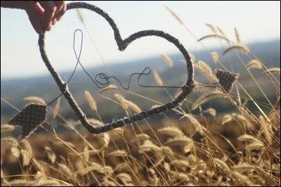Qui chantait "J'y mettrais tout mon coeur, je bâtirais une ferme, une grange et une barrière..." ?