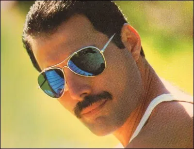 Pour finir, comment est malheureusement mort Freddy Mercury ?