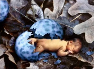 Pour finir, parmi ces deux propositions, laquelle correspond &agrave; la Terre ?