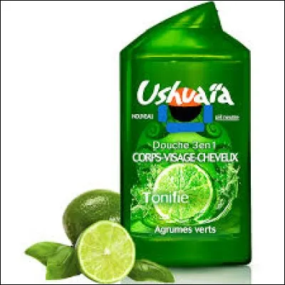 On connaît l'émission de télévision voire le shampoing mais où se situe la ville d'Ushuaïa ?