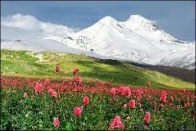 Laquelle de ces langues est la langue officielle de l'Arménie ?
