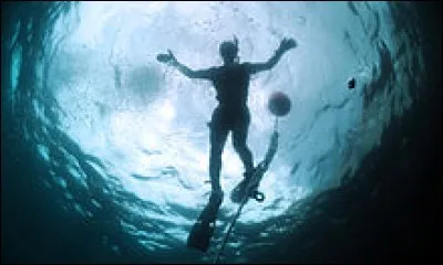 Comment appelle-t-on le phénomène d'optique illustré ci-contre ?