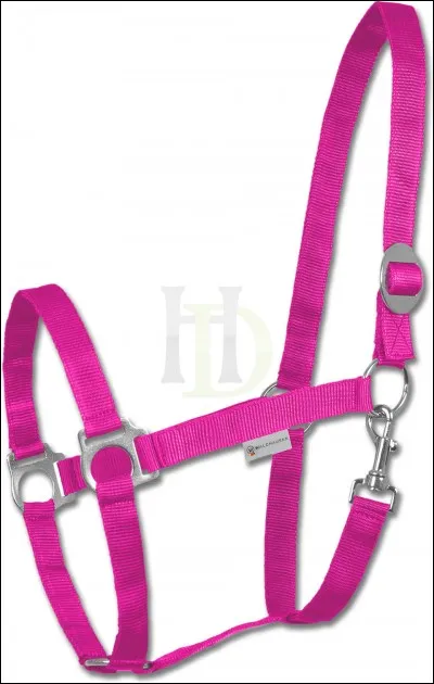 Quel est le nom de cet objet ?