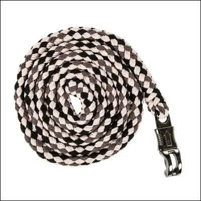 Quand on longe un cheval à main droite, on tient la longe avec...