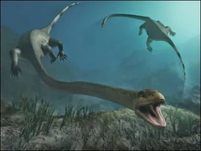 Quel est cet étrange reptile ?