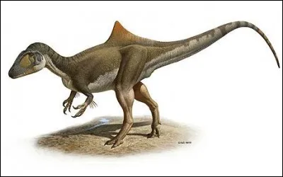 Quel est ce dinosaure ?