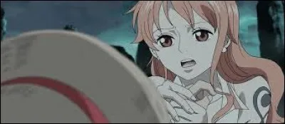 Quelle description correspond à Nami ?