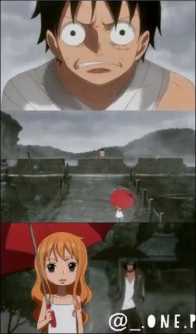 Que veut faire Nami lorsque Luffy est triste ?