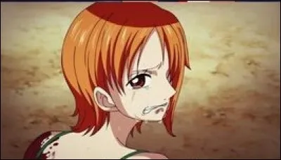 Comparée aux autres, Nami est la seule à qui Luffy...