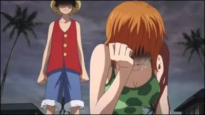 Quelle est l'une des causes de la soit-disante crise de colère de Luffy ?