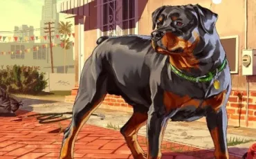 Quiz Gta