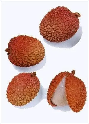 Quel est ce fruit ?