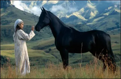 « Sheïtan » le nom du cheval noir qui accompagne, dans le désert, la jeune fille Neera dans « La légende de l'étalon noir ». Que veut dire ce nom ?