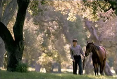 « Pur Sang, la légende de Seabiscuit » est un film américain réalisé par Gary Ross sorti en 2003. Mais qui était Seabuiscuit ?