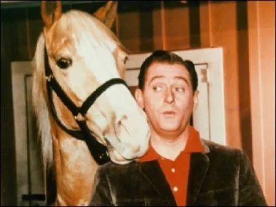Quelle particularité possède « Mister Ed » ?