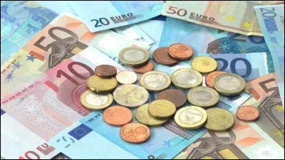 Que penses-tu du revenu universel ? (une allocation versée chaque mois à tous les citoyens français sans condition d'âge ou de revenu. Selon les projets, elle varie de quelques centaines d'euros à 1.000 euros par mois.)