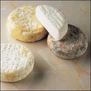 Quel est le seul fromage d'appellation contrle originaire du Dauphin ?